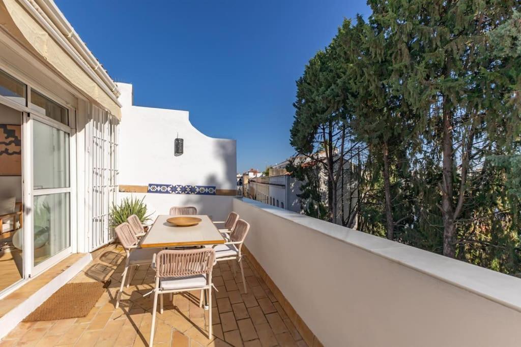 Pasaje Mallol Penthouse By Valcambre